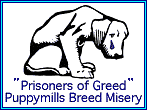 Prisoners of Greed